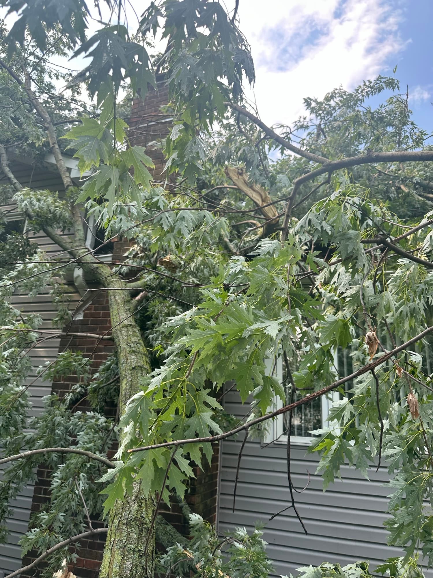 Fallen branches brick chimney